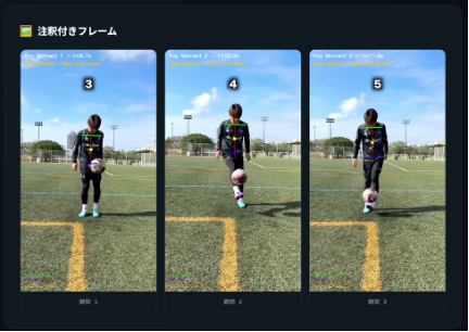 TORENY フレーム分析